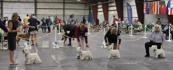 383245050_1759468141166880_3554136678956207108_n